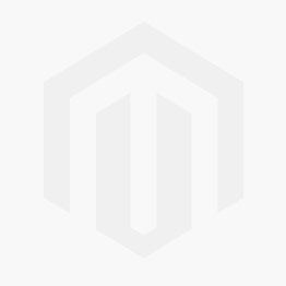 GRIFFON Primor reinigings- en ontvettingsmiddel voor metalen - spuitbus 300ml (1233606)